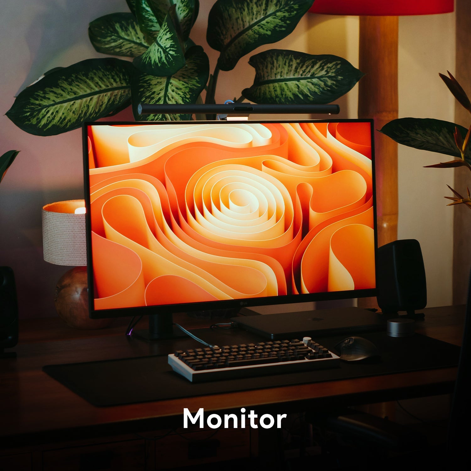Monitor