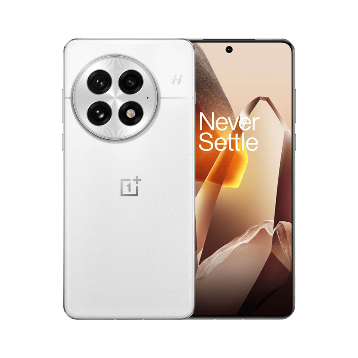 OnePlus 13 (12GB RAM + 256GB Memory) - Arctic Dawn