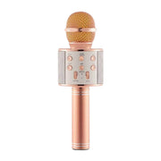 Godfrey Karaoke Microphone WS-858