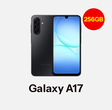 Web Store