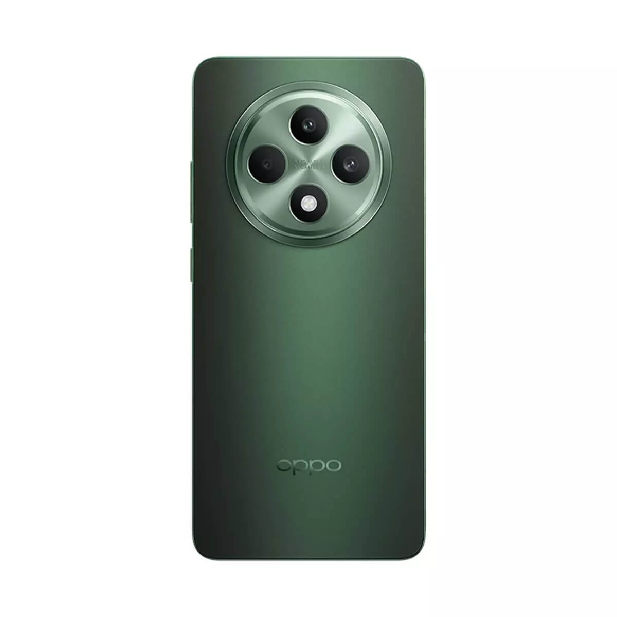 Oppo Reno 12 F 5G (12GB RAM + 256GB Memory) - Olive Green