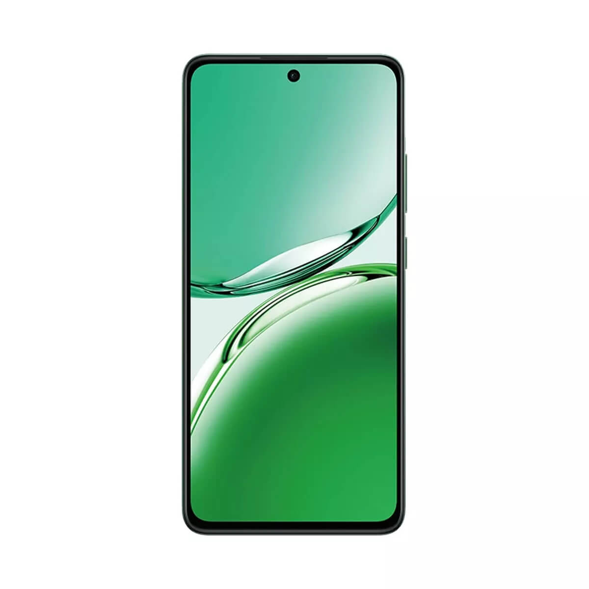 Oppo Reno 12 F 5G (12GB RAM + 256GB Memory) - Olive Green