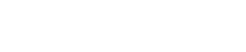 Web Store Logo