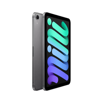 Apple iPad Mini A17 Pro (Wi-Fi 128GB Memory) - Space Gray