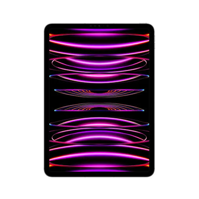 Apple iPad Pro 11 inch 2022 4th Gen M2 (Wi-Fi 256GB Memory) - Space Gray